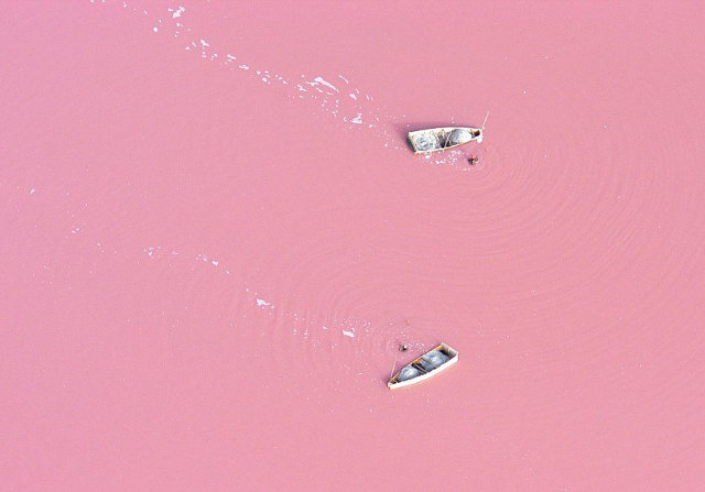 pink-lake-1
