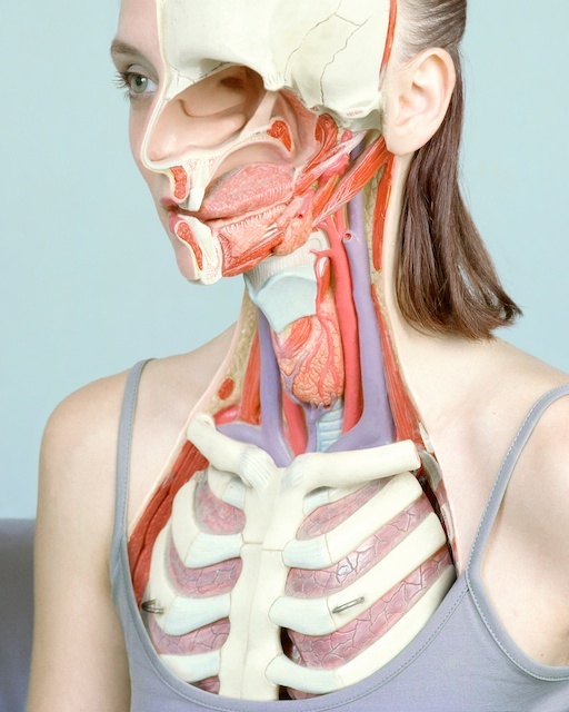 Ženska anatomija